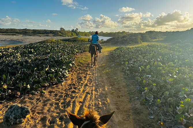 Sunset Horseback Ride at Macao Beach & Forest with Transfers - World Mart Souvenirs: A Quick Stop, Free Tasting, Realistic Time