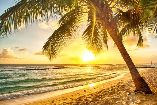 Sunset Horseback Ride at Macao Beach & Forest with Transfers - Price and Value: Getting Transfers Plus Two Scenic Stops