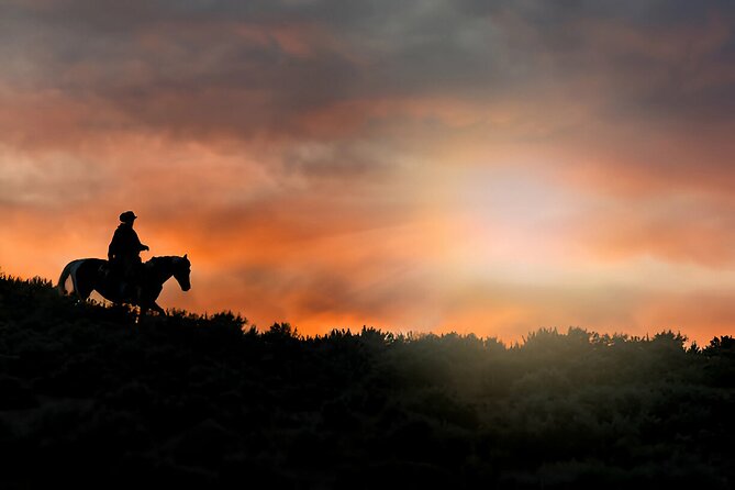 Sunset Horseback Ride at Macao Beach & Forest with Transfers - Timing, Weather, and What to Wear for a Beach Ride