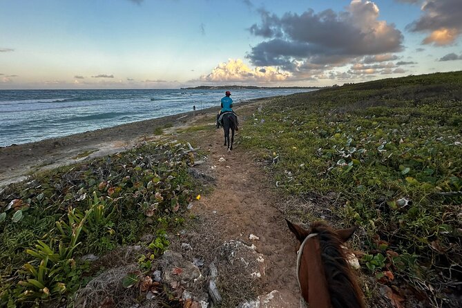 Sunset Horseback Ride at Macao Beach & Forest with Transfers - Who This Sunset Horse Ride Is Best For