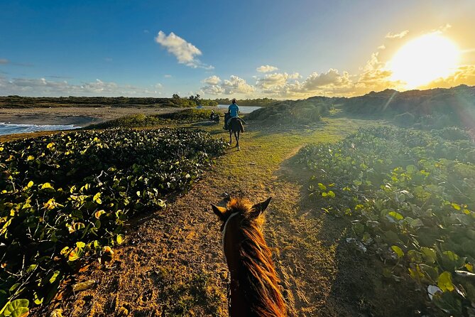 Sunset Horseback Ride at Macao Beach & Forest with Transfers - Macao Beach Horseback Riding: What That 1 Hour Feels Like