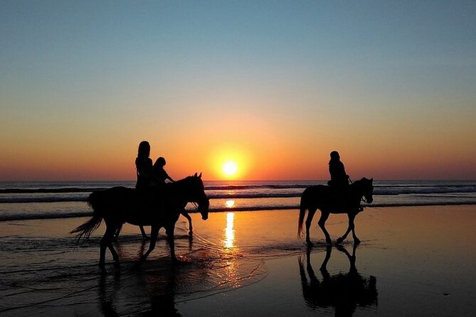Sunset Horseback Riding in Puerto Plata - The Beach Ride at Sunset: Sand, Sea Air, and Coastline Views