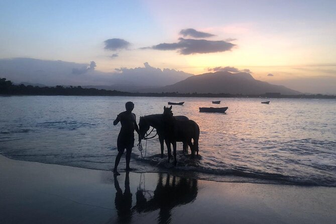 Sunset Horseback Riding in Puerto Plata - Ocean Time and Swimming: When the Horses Help You Relax
