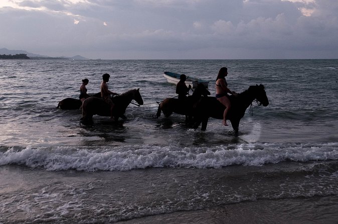 Sunset Horseback Riding in Puerto Plata - Price and Value at $69: What You’re Really Paying For