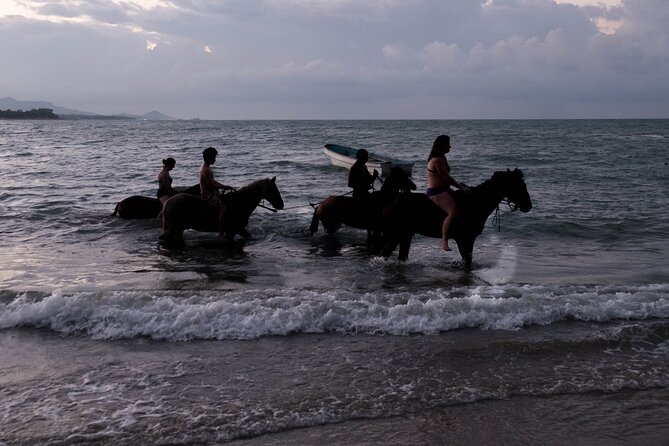 Sunset Horseback Riding in Puerto Plata - Weather and Timing: What to Do If Plans Change