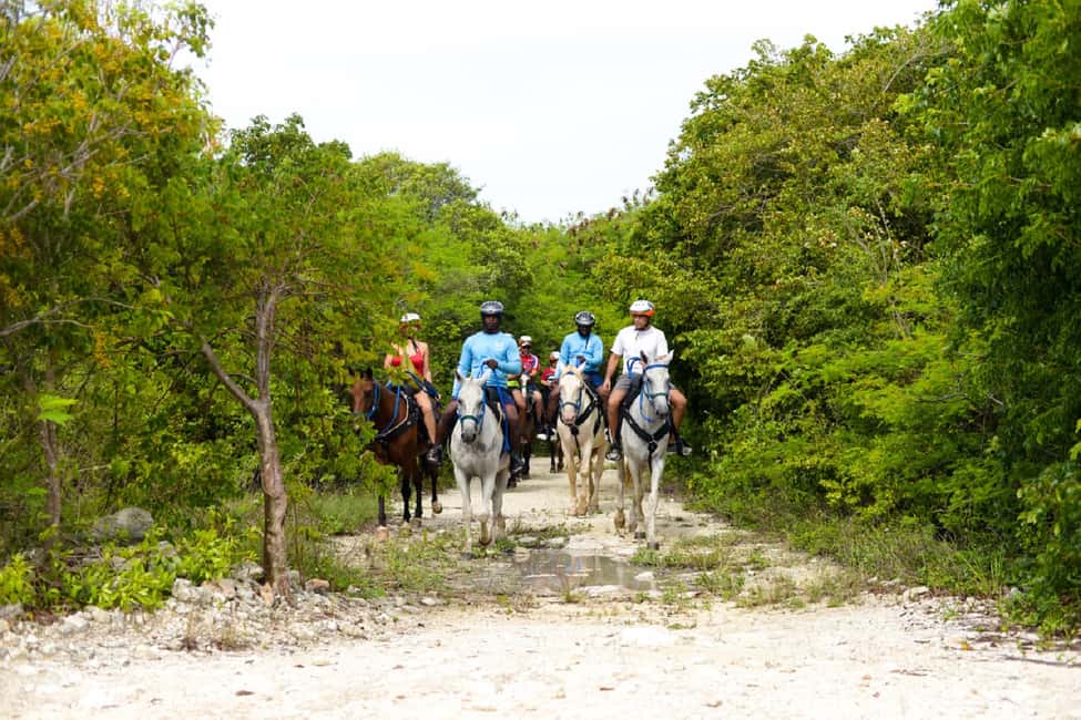 Swim Horse fom Punta Cana - Quick hits before you get on the water and saddle