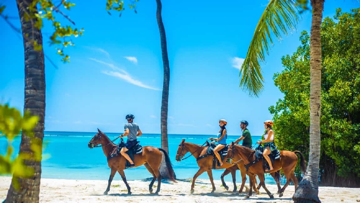 Swim Horse fom Punta Cana - The forest ride and cobbled paths: get ready to feel the island