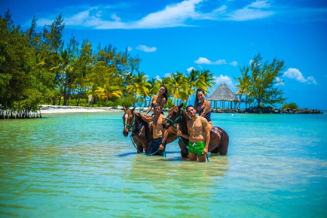 Swimming with Horses at the Beach from Punta Cana Free transportation - Horse Swim Day Trip: the vibe you’re really paying for