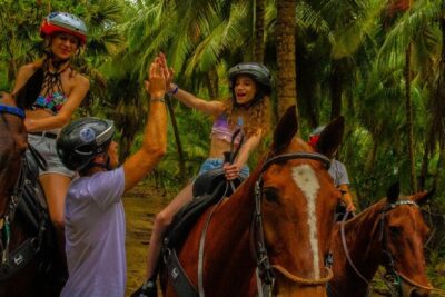 Swimming with Horses at the Beach from Punta Cana Free transportation - What makes the horse swim experience special (and what to watch for)