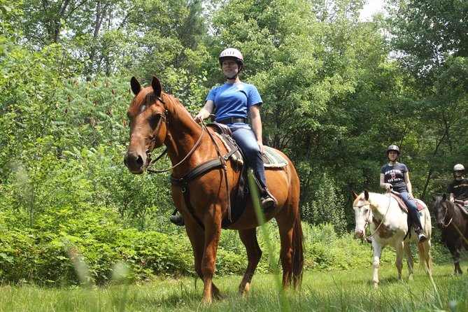Swimming with Horses at the Beach from Punta Cana Free transportation - Price and value: is $119 a good deal?