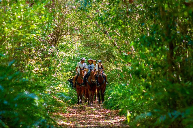 Swimming with Horses at the Beach from Punta Cana Free transportation - What to bring: my practical checklist for horse swim comfort