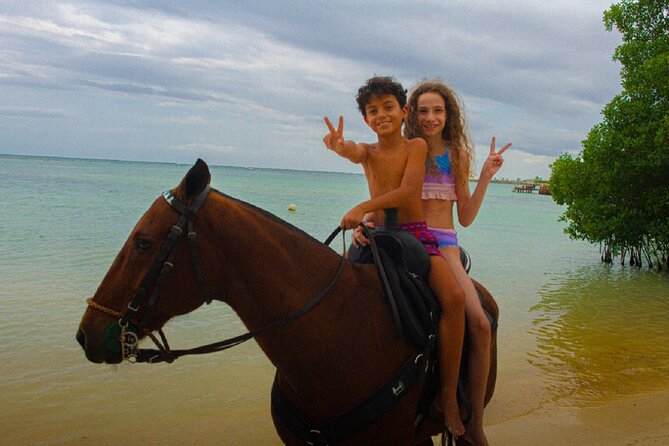 Swimming with Horses at the Beach from Punta Cana Free transportation - Safety and fitness notes you should treat seriously