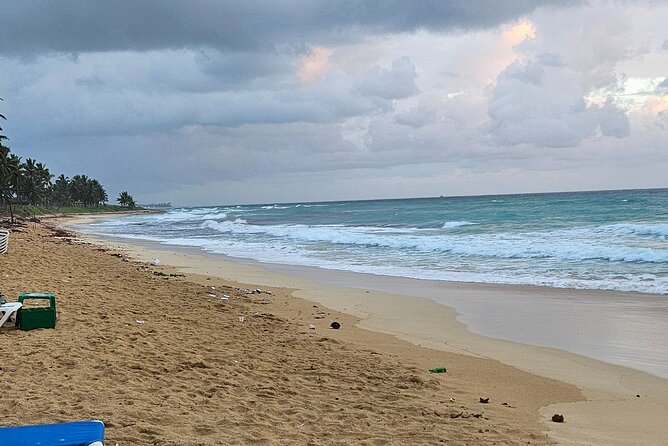 The best buggy/Atv atv punta cana - Price Reality Check: Is $30.40 Worth It?