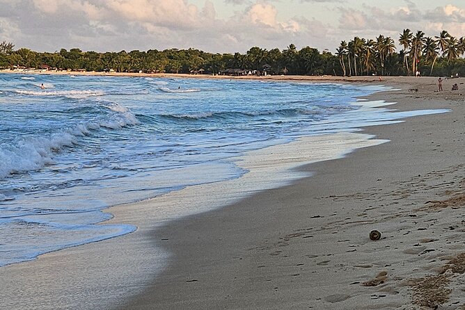 The best buggy/Atv atv punta cana - Who This ATV and Buggy Style Tour Fits Best