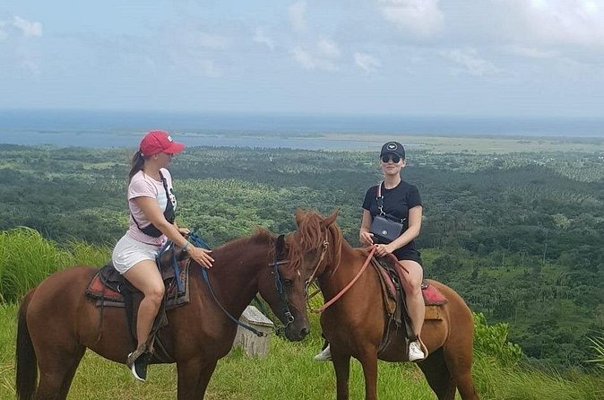 The Ultimate Dominican Horseback Riding Adventure - Lunch at a Dominican ranch setting, plus Paso Higueyano context