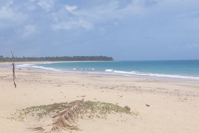Tour to Montana Redonda and Emerald Coast Beach - Lunch and energy management during the switch