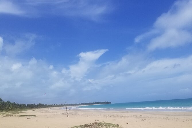 Tour to Montana Redonda and Emerald Coast Beach - Private guides can make or break the day