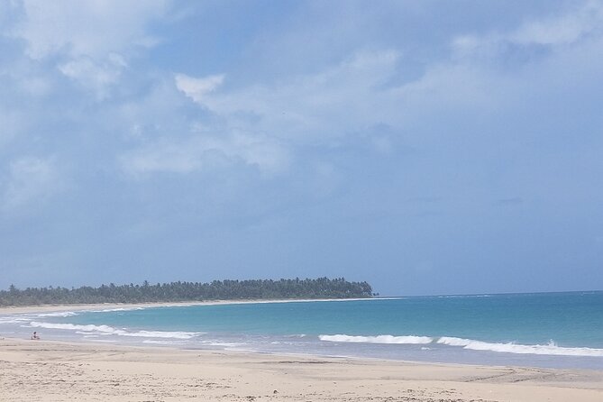 Tour to Montana Redonda and Emerald Coast Beach - Should you book this Montana Redonda and Playa Esmeralda tour?