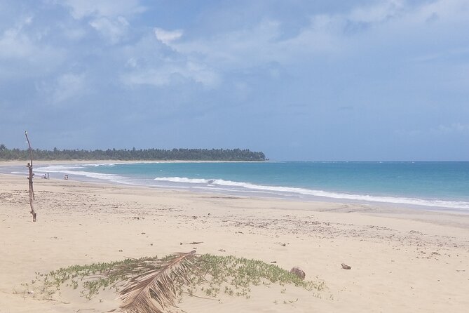 Tour to Montana Redonda (Round Montain) & Costa Esmeralda Beach - Playa Esmeralda: Calm Water Energy After the Climb