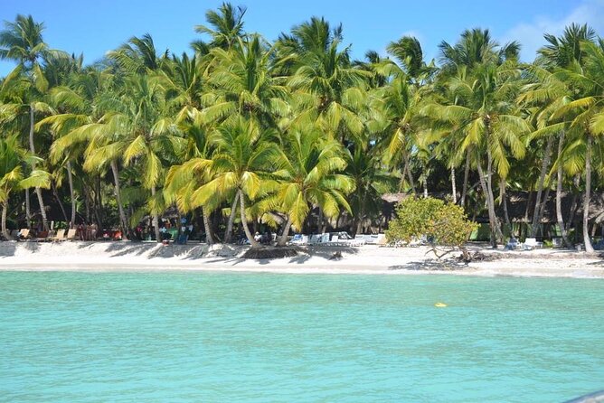 Tour to Saona Island with Lunch and Transportation - Should you book this Saona Island tour with Sand Lirosa Tours?