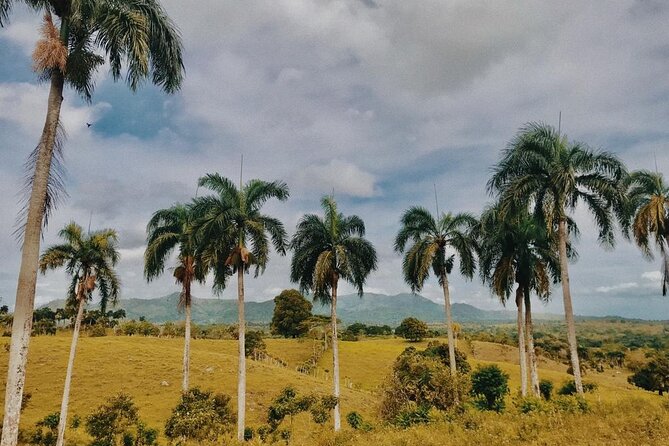 Tropical Escape Tour - Horse Riding and Countryside Time: What You Gain (and What to Expect)
