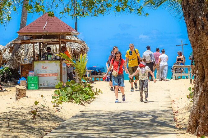 Ultimate Dune Buggies / ATVs / Polaris Tour In Punta Cana - The organic farm and local tastings: chocolate, coffee, rum, and more