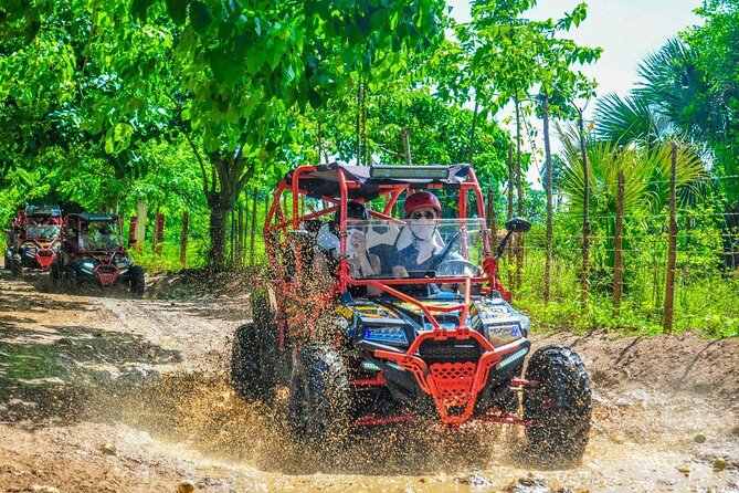Ultimate Dune Buggy and ATV Adventure with Cenote, Beach & Ranch - Key Highlights You’ll Actually Care About