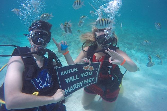 Underwater Marriage Proposal - Champagne toast after your moment, then a deserted beach for real alone time