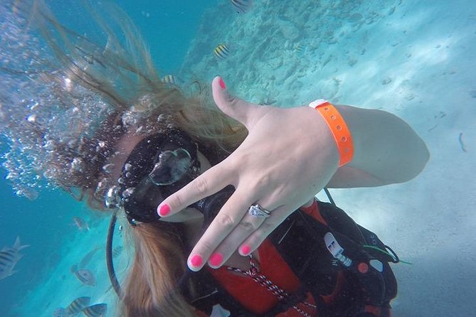 Underwater Marriage Proposal - Price and value: $800 per group for up to 2