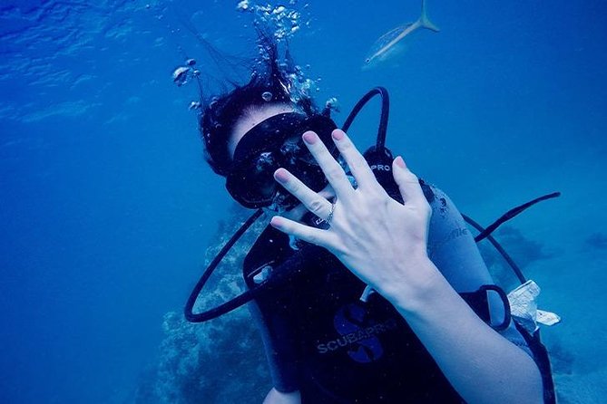 Underwater Marriage Proposal - Meeting SeaPro Divers: where the afternoon starts