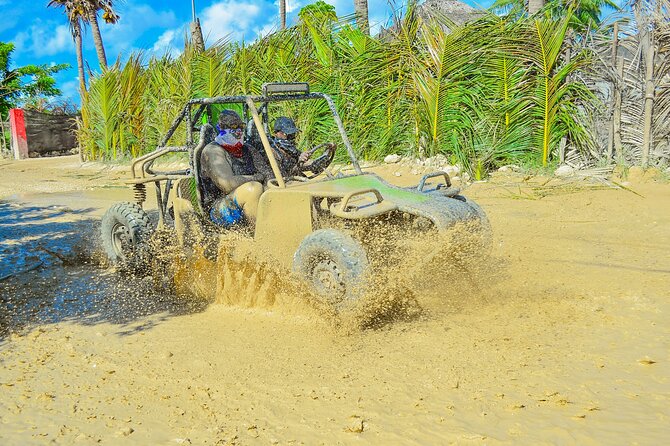 Unlimited Fun in Buggy and ATV and Horses in Punta Cana - Key highlights at a glance
