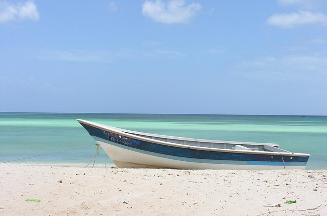 Untouched Paradise – Bahía de Las Águilas - Price and value: what $266 buys you on an 8-hour nature day