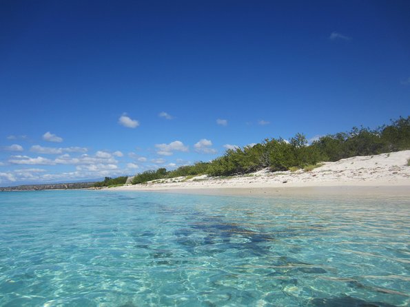 Untouched Paradise – Bahía de Las Águilas - The human side: guides and drivers make the day feel personal
