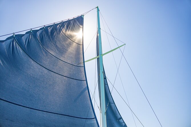 Up to 15 passengers Private Catamaran Sailing from Punta Cana - Stop one at the Power Adventures area: snorkeling where the guide matters
