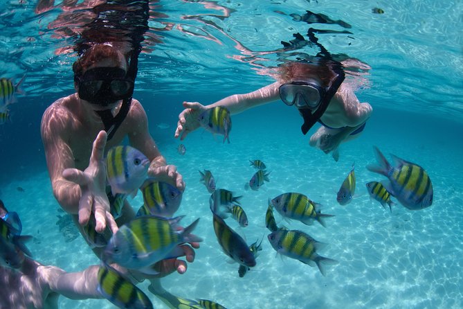 Up to 15 passengers Private Catamaran Sailing from Punta Cana - Natural Pool swim: the waist-deep moment that makes the cruise feel special