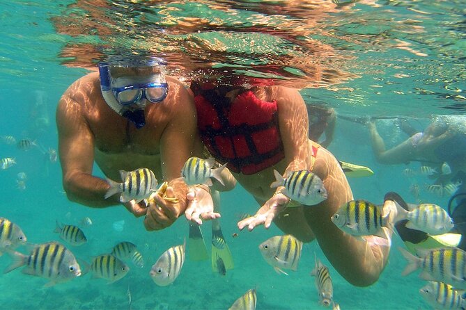 VIP Catamaran with Snorkeling - The catamaran ride: views, music, and that not-too-crowded feeling