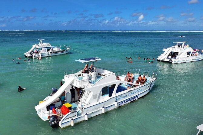 VIP Private Booze Cruise with Live Dj and BBQ in Punta Cana - Key Highlights I’d Prioritize