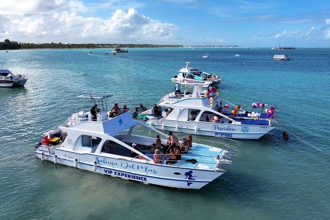 VIP Private Booze Cruise with Live Dj and BBQ in Punta Cana - VIP Booze Cruise: What 3.5 Hours Actually Includes