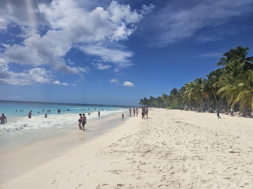 VIP tour to Saona Island by speedboat with a visit to paradise beaches - Key Things to Love on This VIP Saona Speedboat Tour