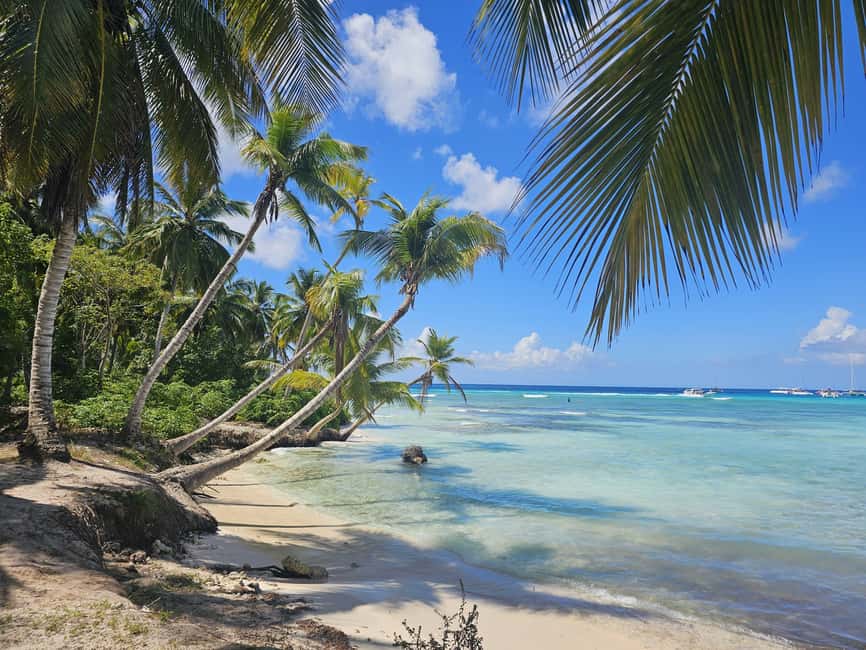 VIP tour to Saona Island by speedboat with a visit to paradise beaches - Playa Palmilla Natural Pool: The Included Break That Makes It Feel VIP