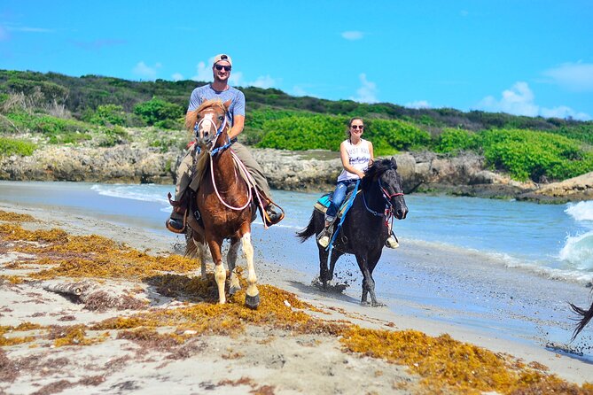 Want to Learn to Gallop at Bavaro Punta Cana Beach! - The tropical forest stretch: quiet trail time with a purpose