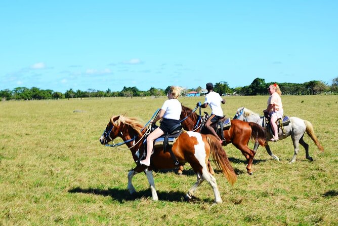 Want to Learn to Gallop at Bavaro Punta Cana Beach! - Macao Beach stop: bath time or just pure relaxing