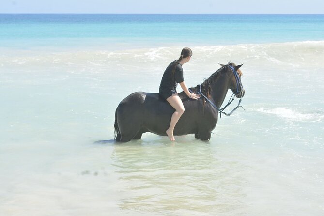 Want to Learn to Gallop at Bavaro Punta Cana Beach! - Price and value: what $65.95 actually buys you