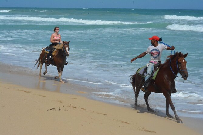 Want to Learn to Gallop at Bavaro Punta Cana Beach! - Hotel pickup and the 2-hour time window