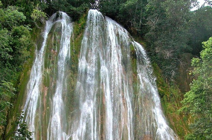 Whale Watching & Limón Waterfall Day Trip - The 30-minute horseback ride: pretty scenery, but manage your expectations