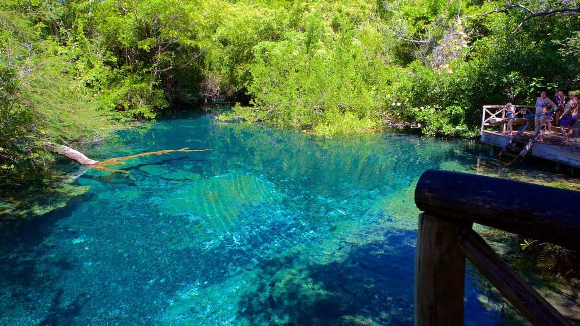 Wild On Punta Cana: Cruise with Snorkeling Half Day - Playa Blanca Natural Pool: Where the Trip Turns Relaxed