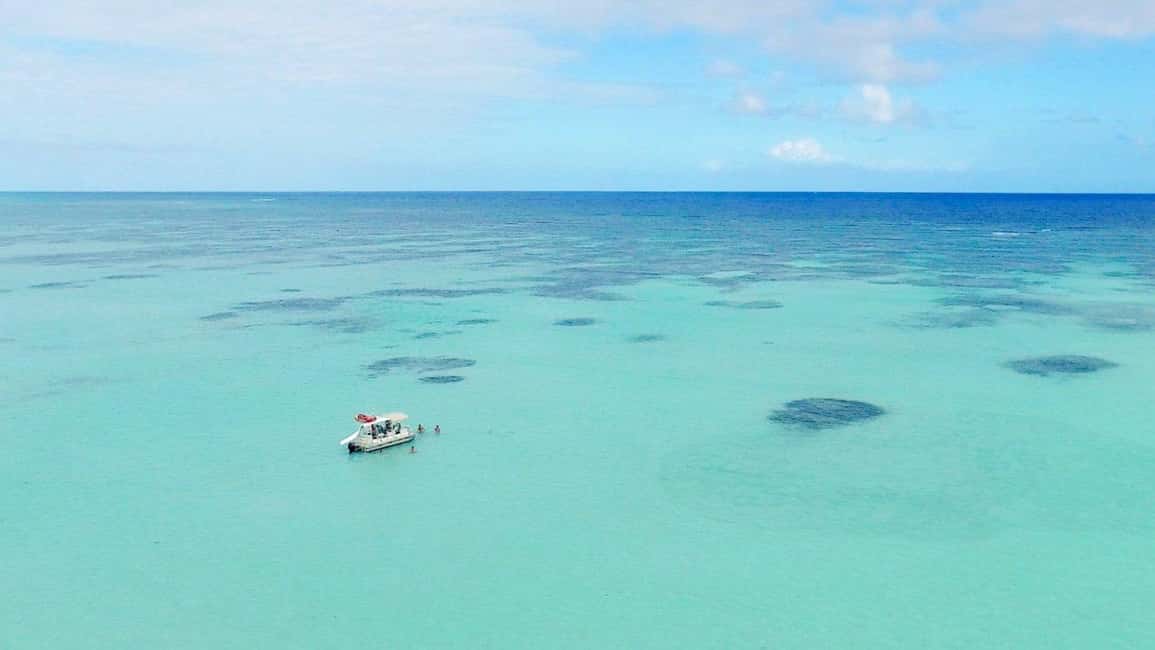 Wild On Punta Cana: Cruise with Snorkeling Half Day - Price and Value: $119 for a 4-Hour Sampler