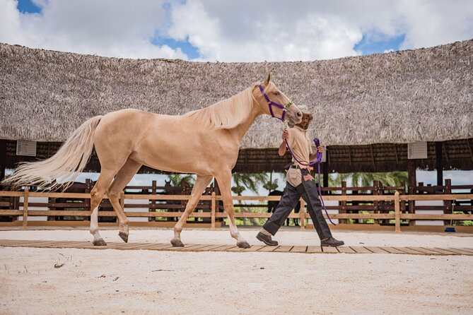 Xploration Animal Encounters Half Day Tour from Punta Cana - Lunch and Open Bar: Taking the Edge Off the Heat and Travel