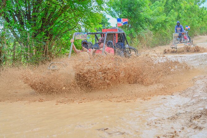 Xtreme Buggy Adventure - Organic farm stop: coffee, chocolate, and learning the flavors