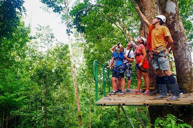 Zip Line - Half Day Adventure - Getting through the circuit: stairs, pacing, and your comfort level